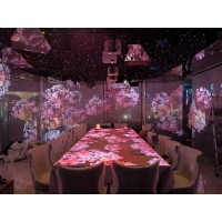 ‌NDFOS双面投影成像膜 正背投两用橱窗投影贴膜