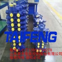 TRM20-BX-02-JX-01多路阀泰丰液压厂家加工定制