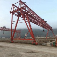 专业龙门吊：高效作业的实力之选