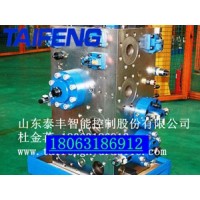 供应湖北锻压机液压阀YN32-315HGLBCV 山东泰丰智能厂家专业制造