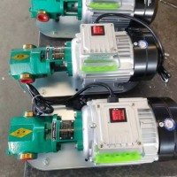 WCB手提齿轮泵 微型防爆齿轮油泵  适用介质液压油