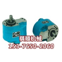 CB-B齿轮油泵 高压清水泵用齿轮油泵