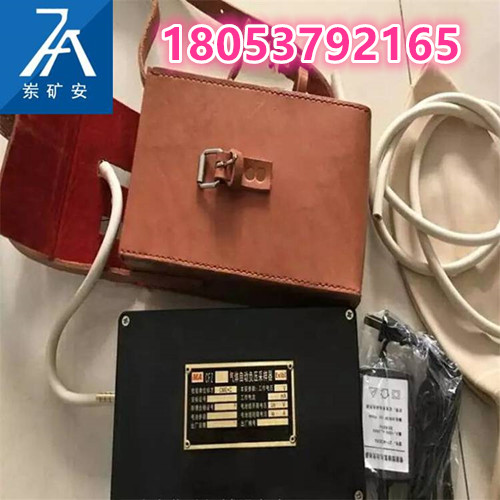 CFZ自动负压采样器