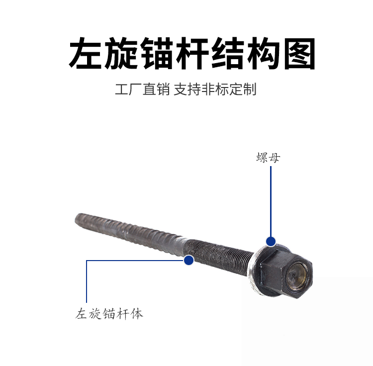 左旋锚杆11