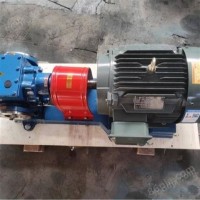 圆弧齿轮泵 高吸程油泵 大流量高扬程