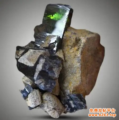 u=656921130,83054143&fm=253&fmt=auto&app=138&f=JPEG.webp_副本