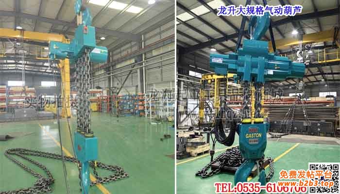 龙升大规格气动葫芦单条大图