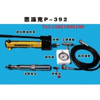 恩派克P-392高压注剂枪 带压堵漏用注净胶嘴注剂阀