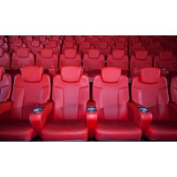 江西音乐厅座椅定制@鑫奥体育器材公司加工礼堂座椅