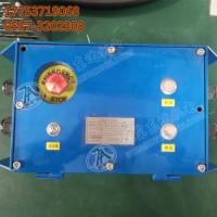 煤矿井下用KTK18本安型扩音电话 按钮急停闭锁功能