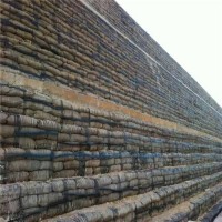 山东单向土工格栅厂家