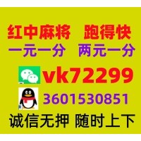 【绝无虚假】一元一分广东红中麻将【热点资讯】