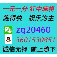 【不亦乐乎】一元一分两元一分红中麻将群【真人实战】