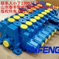 TRM15-BH-08-CT-02挖机多路阀泰丰厂家现货供应