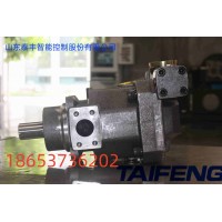 厂家供应柱塞泵TFA10VSO72LRDS