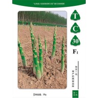 曹县芦笋苗种植基地