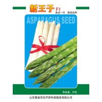 山东芦笋种子批发