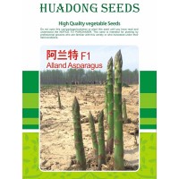 芦笋苗种植基地