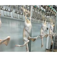 鸭鹅屠宰设备厂家