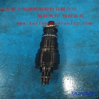 泰丰智能DBDS6K10/31.5插入式溢流阀