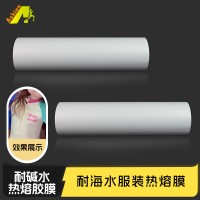 耐海水腐蚀热熔胶膜	耐盐泡服饰热熔胶膜