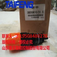 山东泰丰智能供应比例溢流阀TDBET6