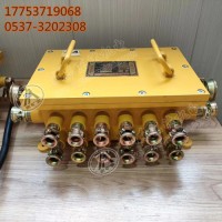 煤矿用BHD-10/127-16G隔爆型低压电缆接线盒