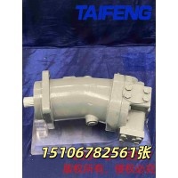 山东泰丰供应TFMCR系列马达欢迎订购