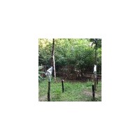 QT-2010 植物生理生态监测系统