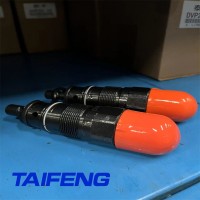 泰丰TAIFENG直动式溢流阀DBDS10K10