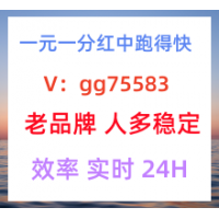 真人互动一元一分跑得快真人麻将无押无力