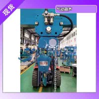 气动葫芦 体积小重量轻 便于搬运安装 节省作业空间
