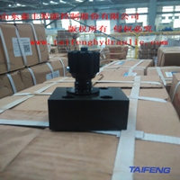 DRVP-10板式单向阀 山东泰丰智能