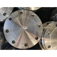 山西合金高压盲板生产厂家-沧州奋起供应不锈钢高压盲板