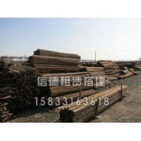 廊坊钢管脚手架搭建工程_信德建筑器材全程配送钢管脚手架出租