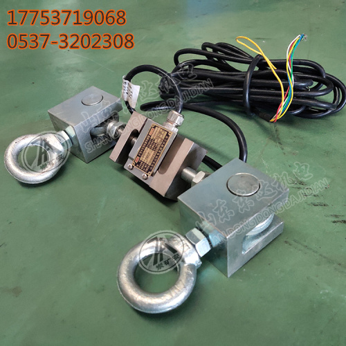 带式给料机 称重传感器 (3)