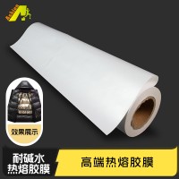 高端热熔胶膜 鞋材服饰箱包 耐海水热熔膜