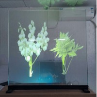 深圳全息投影膜 橱窗3D悬浮广告贴膜 NDFOS膜源头直供‌