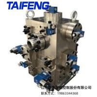 二通插装阀  用于3500/580重型双工位锻造液压机