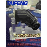 山东泰丰供应TFA6V系列马达厂家直销