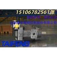 山东泰丰供应TFB1V63LR/1X-LRB2柱塞泵厂家直销