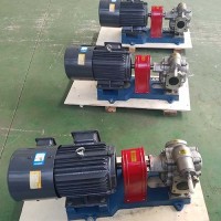 不锈钢齿轮泵 卧式电动抽油泵 耐磨防腐