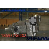 TFB1V63S/1X-LRB2-K柱塞泵