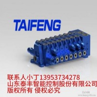 TRM20-BX-02-JX-01多路阀泰丰液压厂家加工定制