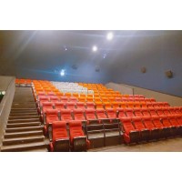 江西礼堂座椅订做-河北鑫奥体育器材定制电影院座椅