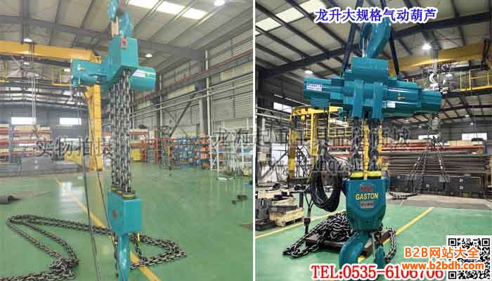 龙升大规格气动葫芦单条大图