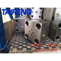 泰丰供应 TLFA 025 WEZB -7X 型盖板