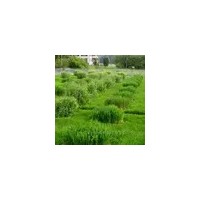 Ready-To-Go小型蒸渗仪