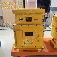 DXJL系列矿用隔爆兼本安型锂离子蓄电池电源 3路独立机械开关