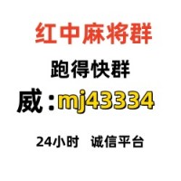 英雄联盟手机跑的快群在哪里找（平等对待）